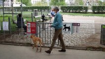 Süßer Pandemietröster mit Tücken: Wien geht gegen illegalen Welpenhandel vor