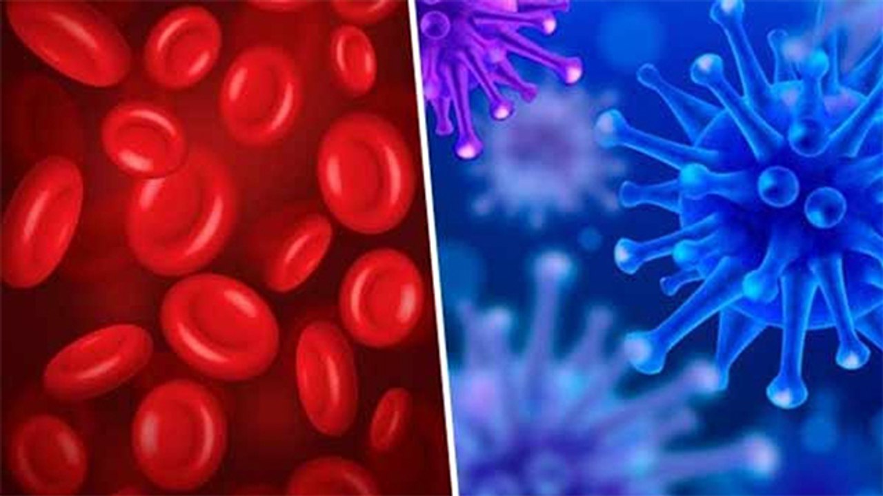 Coronavirus से इन 2 Blood Group वालो को है ज्यादा खतरा । Non Vegetarians भी रहे सावधान । Boldsky