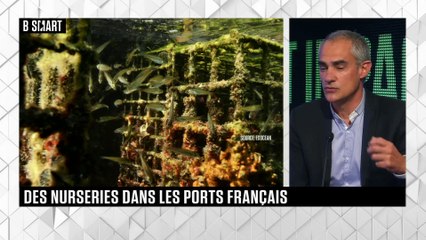SMART IMPACT - L'invité de SMART IMPACT : Gilles Lecaillon (Ecocean)