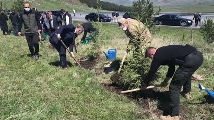 Orman varlığının artırılması için 100 bin fidan toprakla buluşturuldu