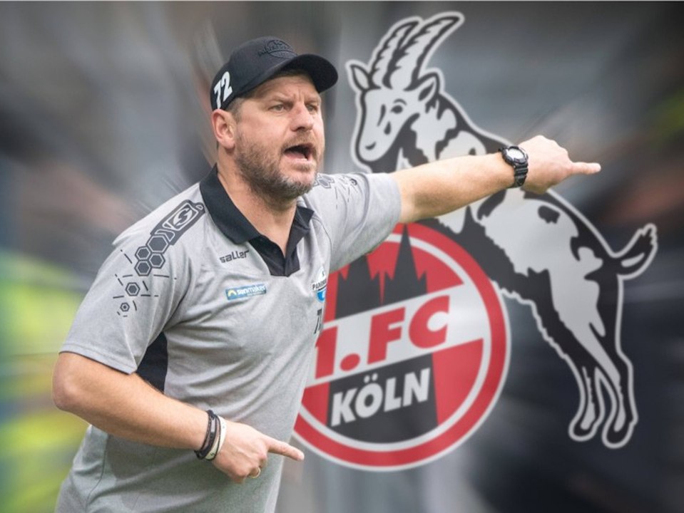 Steffen Baumgart ist neuer Trainer beim 1. FC Köln