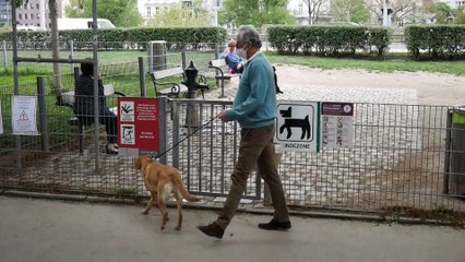 El tráfico ilegal de mascotas en la Unión Europea ha crecido con la pandemia