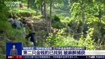 حديقة سفاري في الصين تخفي هروب فهود لمدة ثلاثة أسابيع