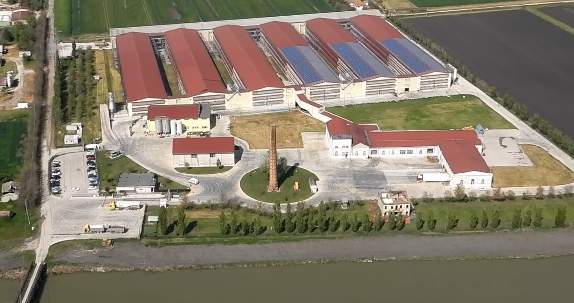 Video Ferrara - Truffa da 2 milioni all'azienda sanitaria: in 6 a giudizio (11.05.21)