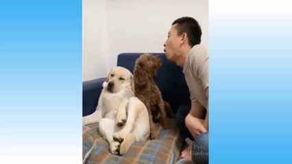 Cute Pets And Funny Animals Compilation - 108​ _ Pets Garden ( 720 X 1280 )