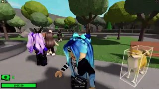 Roblox Magic Story...