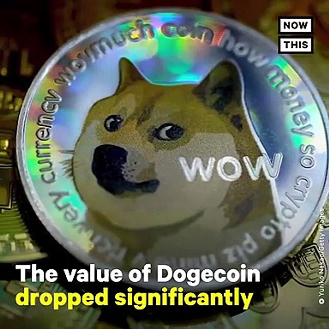 Doge 1080X1080 / Doge Translator Api