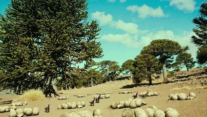 Dinosaurs: Giants of Patagonia