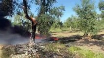 Puglia: incendio nelle campagne baresi zona SP210, fiamme dai rifiuti raggiungo albero - video