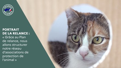 "Comment, grâce au Plan de relance, nous allons pouvoir structurer notre réseau d'associations de protection de l’animal"