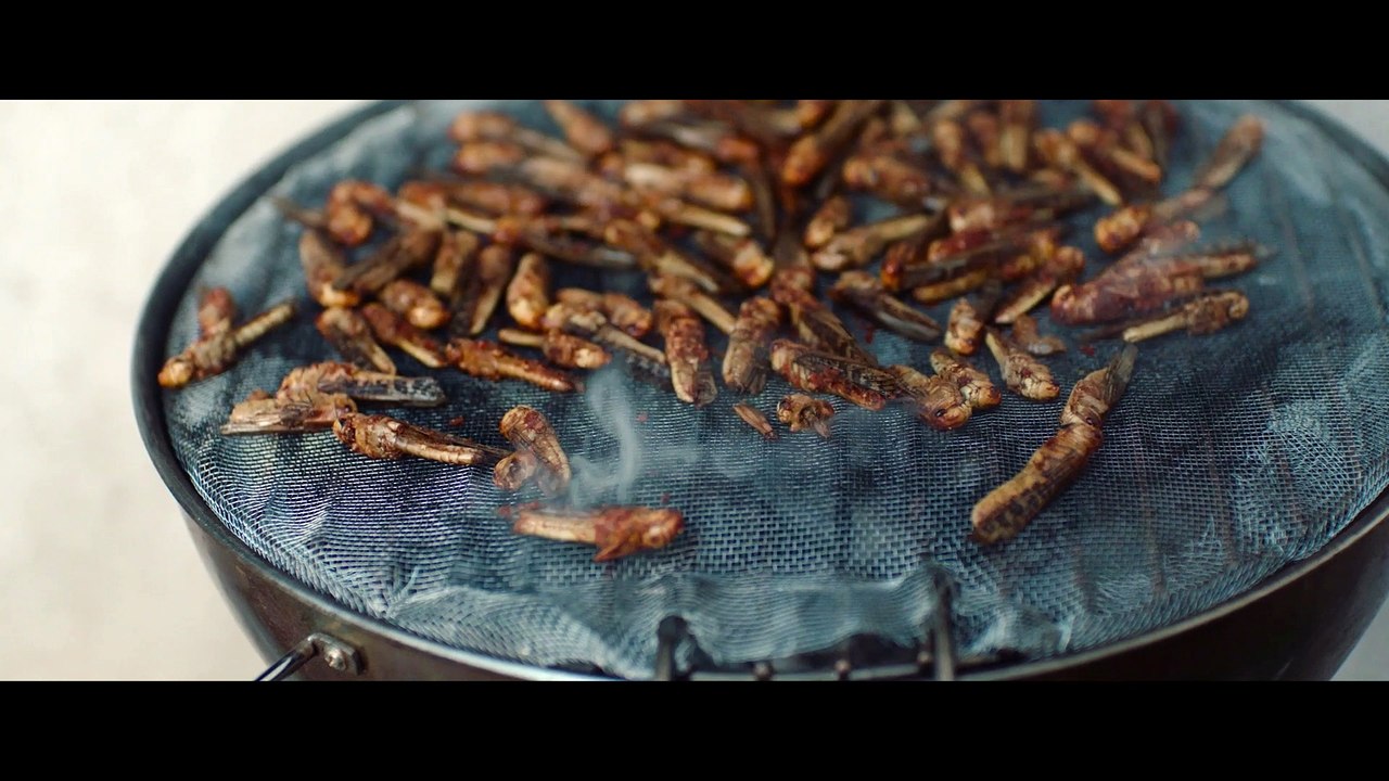 Bande-annonce LA NUÉE