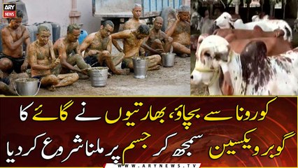 Indians are applying cow dung on their bodies as Covid cure