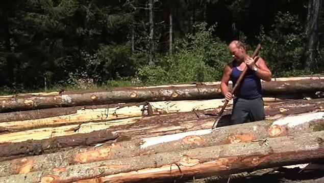 Le Savoir-Faire Du Sanglier, Un Atout Pour Le Mont D'Or