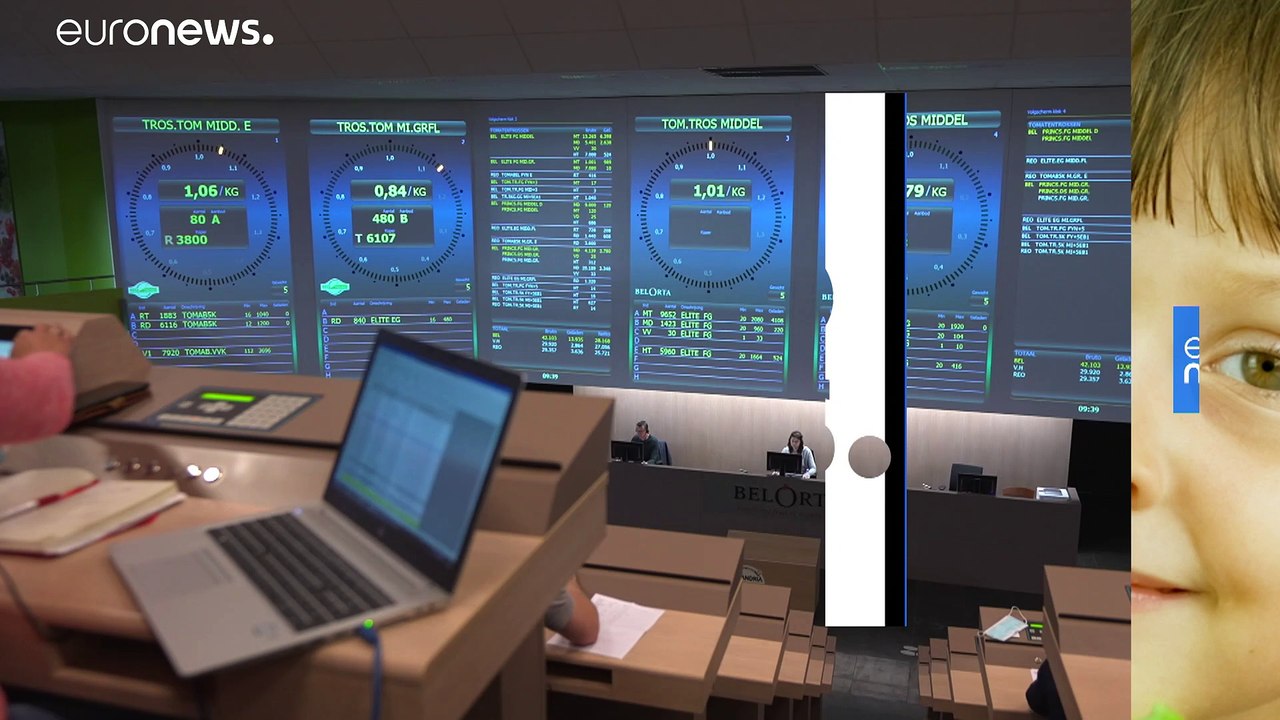 Obst- und Gemüseauktion: Handeln mit der Uhr