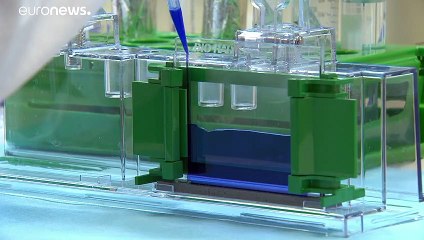 После коронавируса Европе угрожает рак