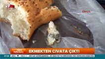 Ekmeğin içinden çıkanlar şok etti!