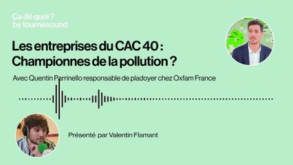 Les entreprises du Cac 40 : championnes de la pollution ?