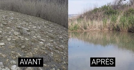 Grâce aux efforts acharnés de bénévoles, l'étang de Berre, défiguré par le polystyrène, a retrouvé la propreté