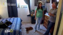 Cesar 911 S04E11
