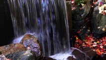 15 Minute Nice Peaceful  Music for Healing | Waterfall Sounds |  Focus | Self-love | Anxiety-Relief | Soothing | Serene | Calming | Relaxing | Joyful | Anti-Depression