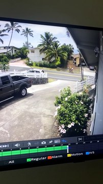 Hawaiian Dirt Bike Wheelie Fail