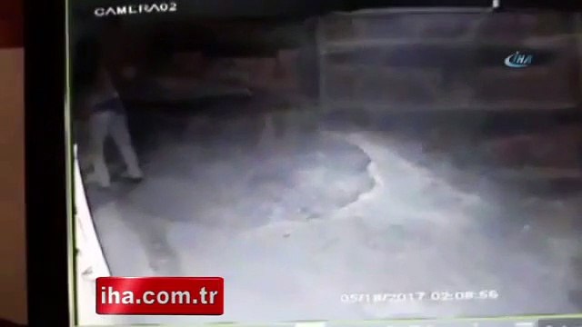 Vurdumduymaz hırsız alarma aldırış etmedi