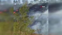 Son Dakika | Burdur'da orman yangını... 1.5 hektar alan kül oldu