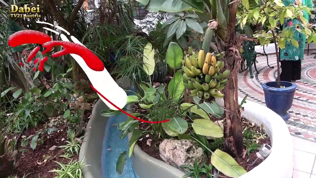 (Dabei) Wir stellen vor LIKE IT - mehr als ein Lifestyle Magazin