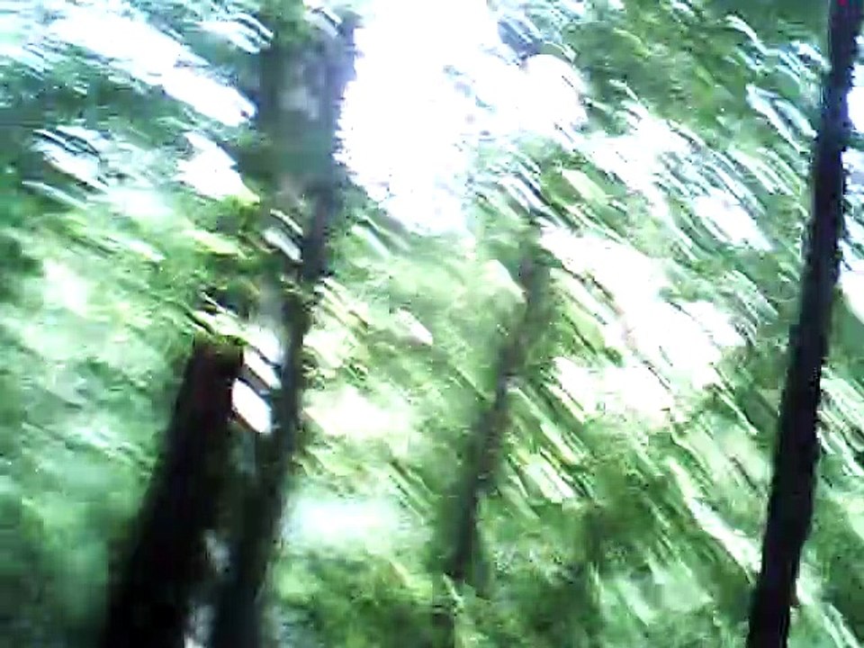 mailied vocals
