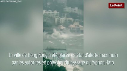 Typhon Hato : Hong Kong en alerte maximale