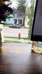 Dog Laying in Grass Doesn't Want to Continue Walk