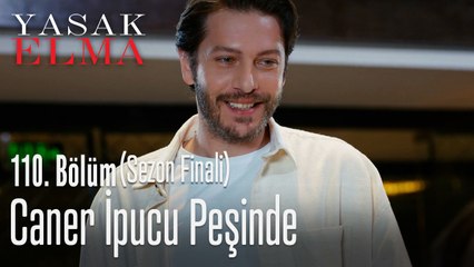 Caner ipucu peşinde - Yasak Elma 110. Bölüm