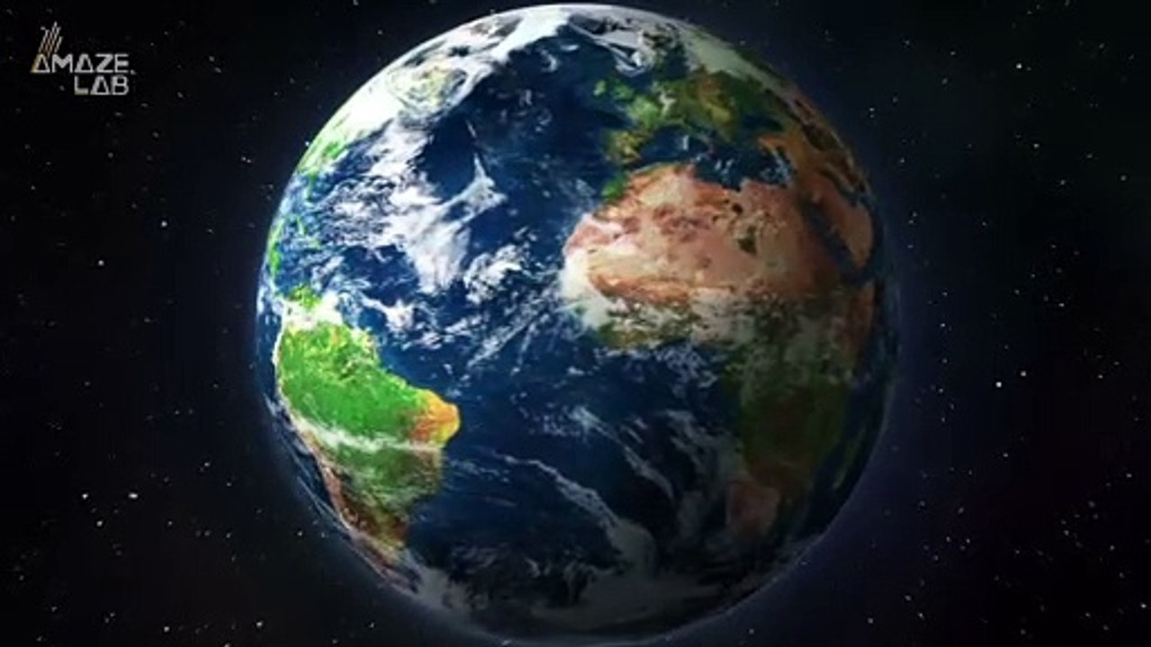 Some Marine Animals Can Avoid Ocean Heat by Swimming Thousands of Miles