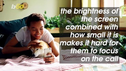 Does Your Dog Understand Your Endless Video Calls During Quarantine?