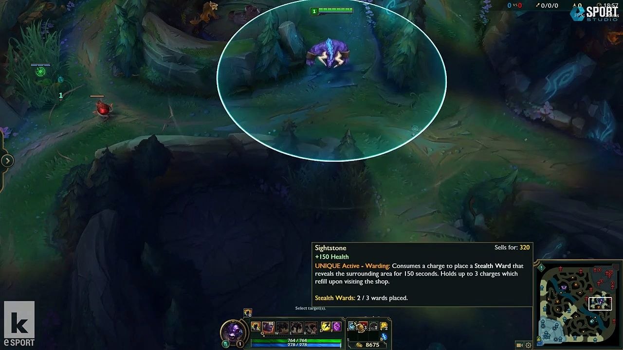 Die wichtigsten Wards in der Kluft der Beschwörer