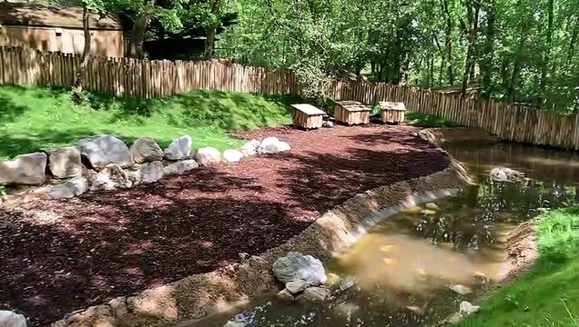 Le Zoo African Safari ouvre le 19/05