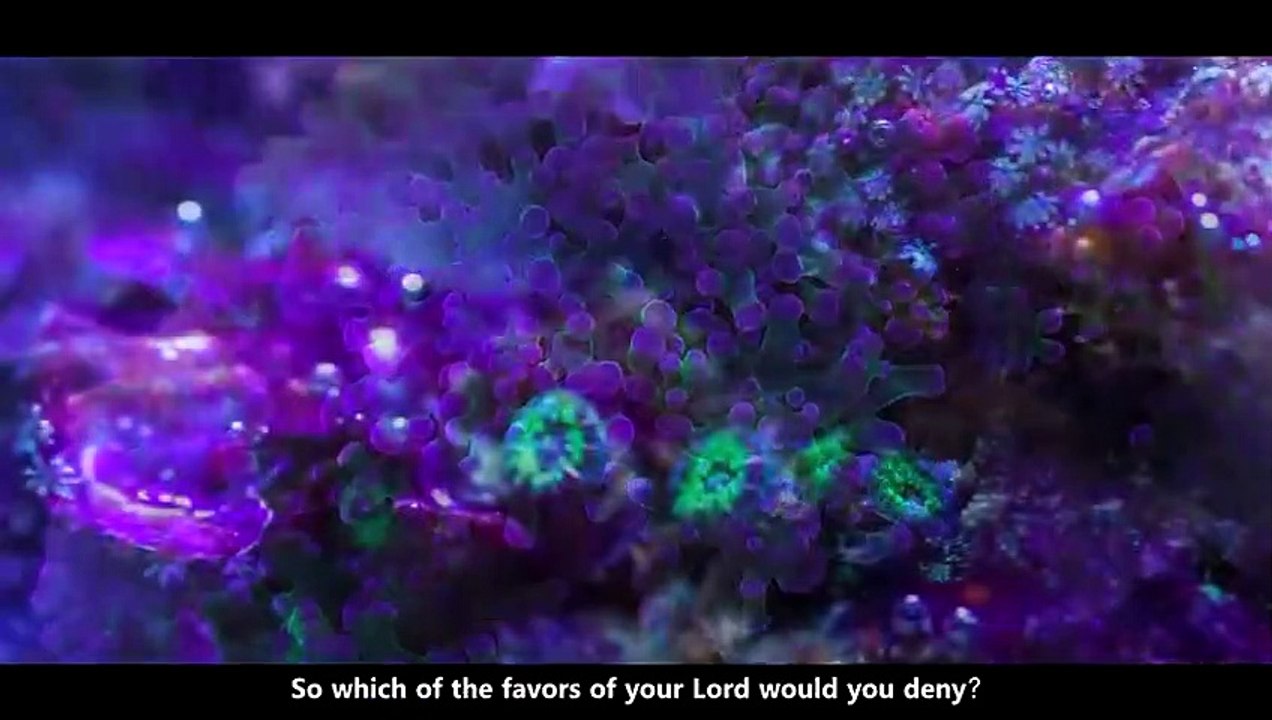 UNBELIEVABLE Voice - Surah Ar Rahman