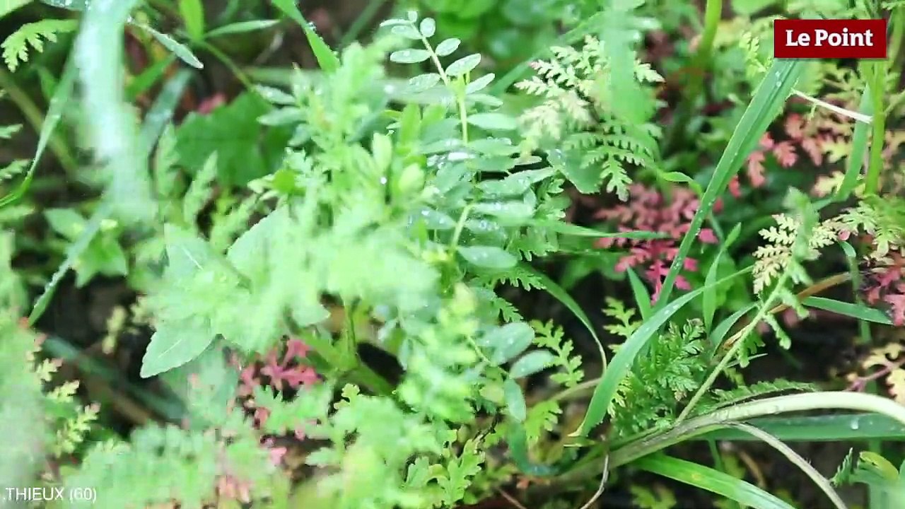 Lutte contre les pesticides : l'agriculture toujours dispensée #2