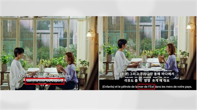 넷플릭스, '일본해' 표기 논란에 불어 자막 '동해'로 수정 / YTN