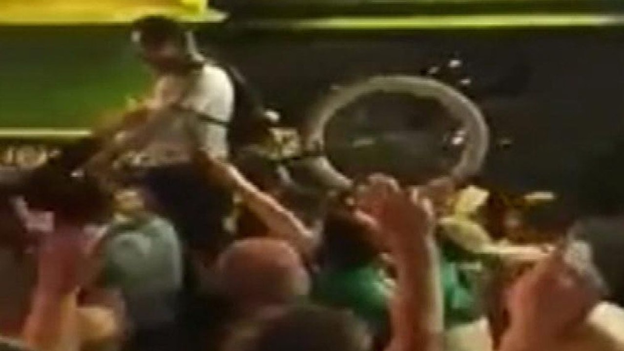 Europameister des Blödsinns - Die besten Aktionen der irischen Fans