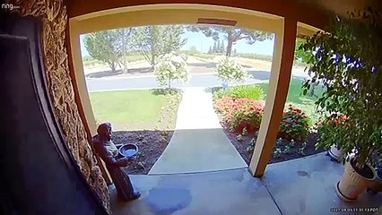 Grandma Really Doesn't Like Snakes in Her House