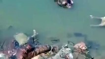 閲覧注意　ガンジス川に浮かんでいるコロナ犠牲者の遺体