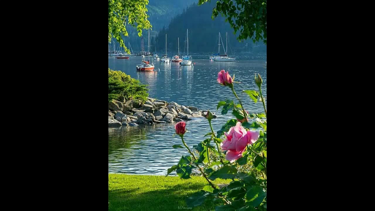 REGGAE GENIAL EXPECTATIVE - RÉALITÉ - GENIAL EXPECTATIVE REGGAE - REALITY