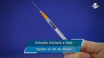 ¿Qué sabemos de la vacuna china Walvax que se quiere usar en México?