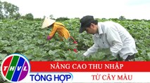 Nông thôn ngày nay: Nâng cao thu nhập từ cây màu