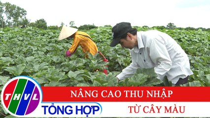 Nông thôn ngày nay: Nâng cao thu nhập từ cây màu