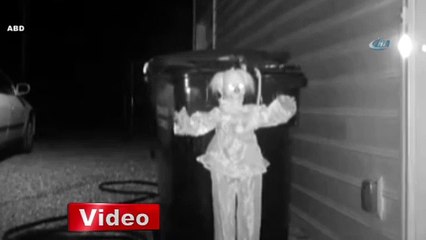 Çöplere dadanan ayıdan bakın nasıl kurtuldu!