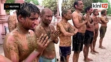 Doctors in India warn against cow dung as Covid-19 cure