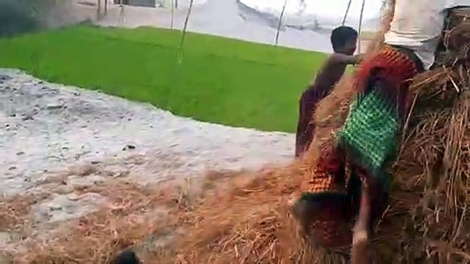 Funny Kids||Indian Kids Funny|| Children Sircus Funny Video