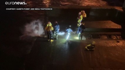 شاهد: القضاء على حوت جنح وعلق في نهر تيمز في لندن